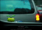 花车